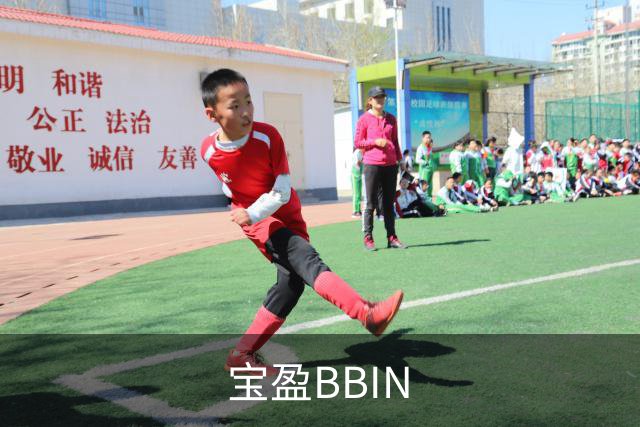 宝盈BBIN公司介绍图片